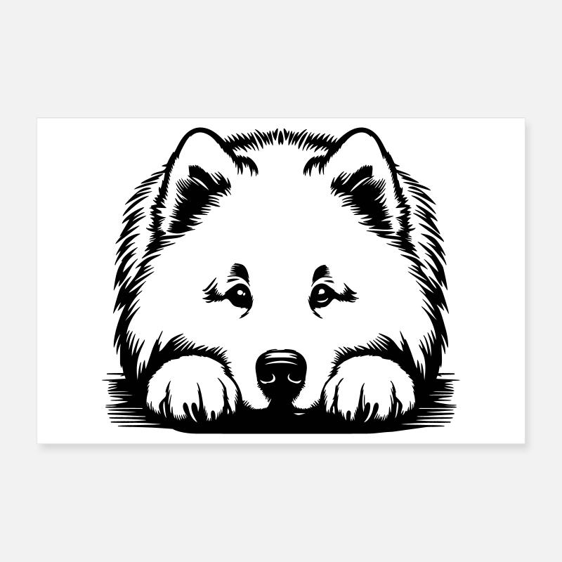 Tête de samoyède avec pattes Poster 30 x 20 cm