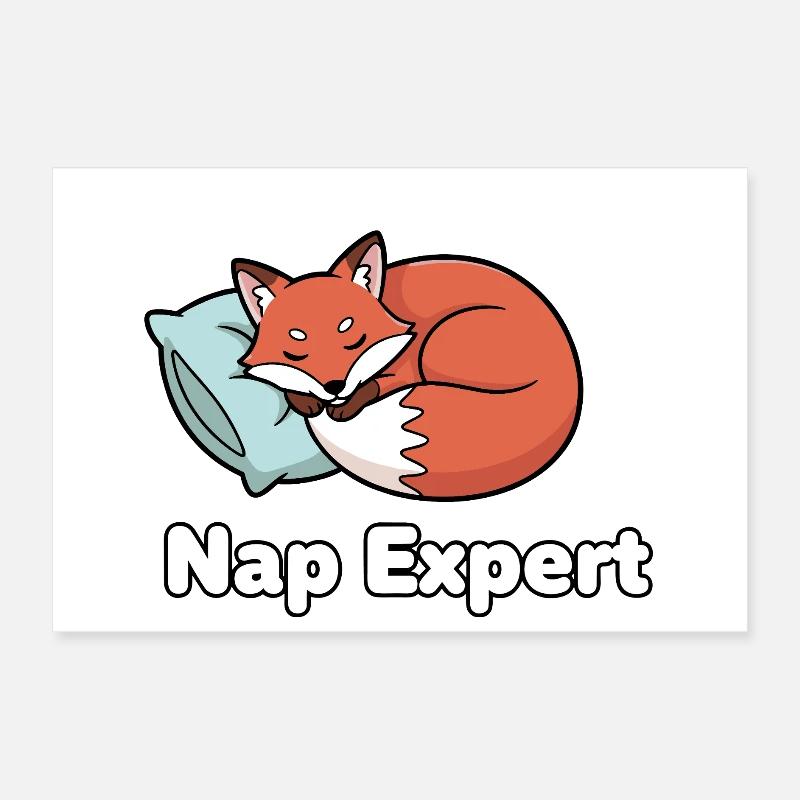 Nap-Experte Fuchs Poster 30x20 cm