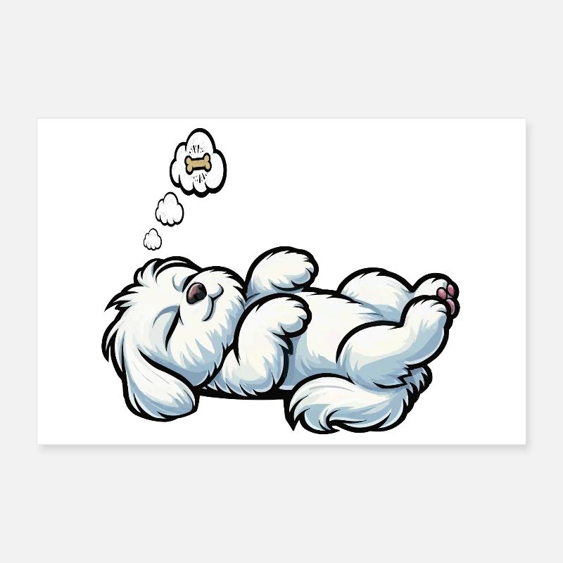 Malteser Propriétaire Maltese Lovers Poster 30 x 20 cm