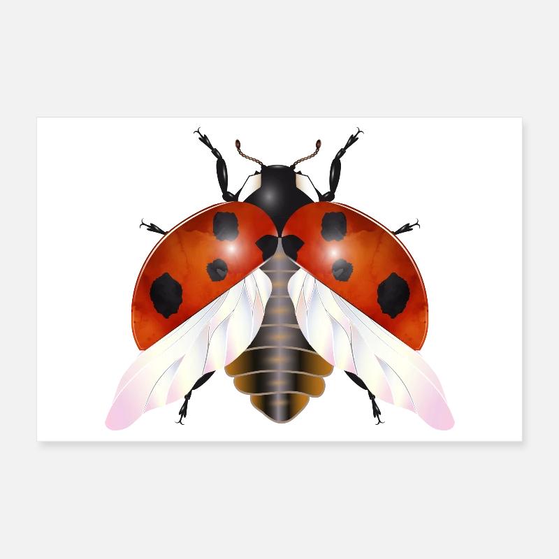 Enchanting Flying Ladybug with Wings Poster 12" x 8" (30x20 cm)
