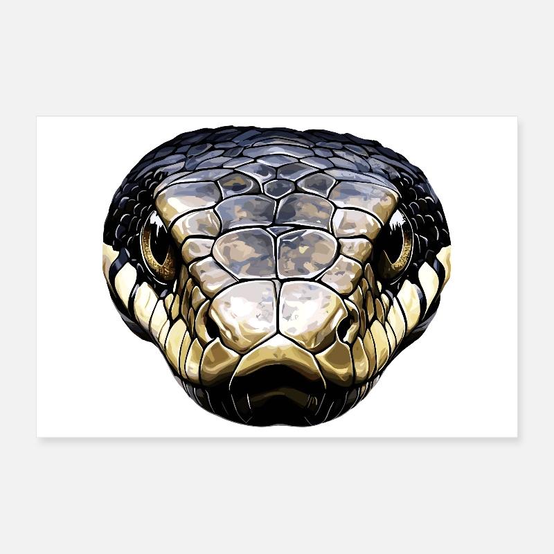 snake, python, cobra, rattlesnake, snakes Poster 12" x 8" (30x20 cm)