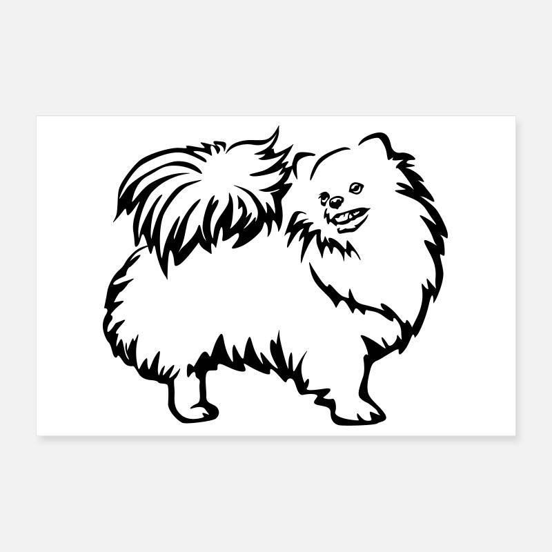 Dwarf spitz Poster 12" x 8" (30x20 cm)