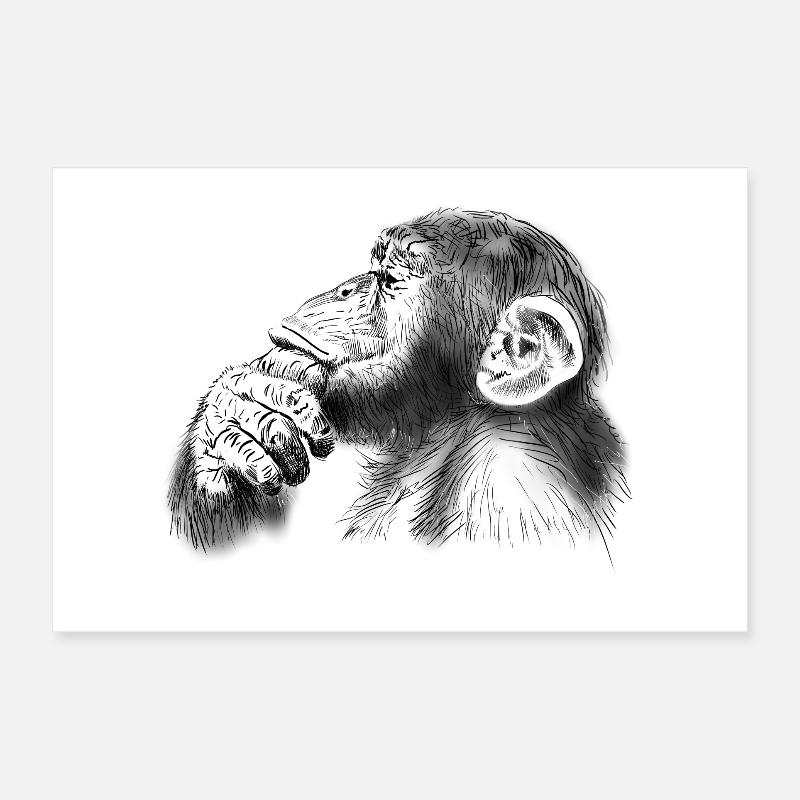 chimpanzee Poster 12" x 8" (30x20 cm)