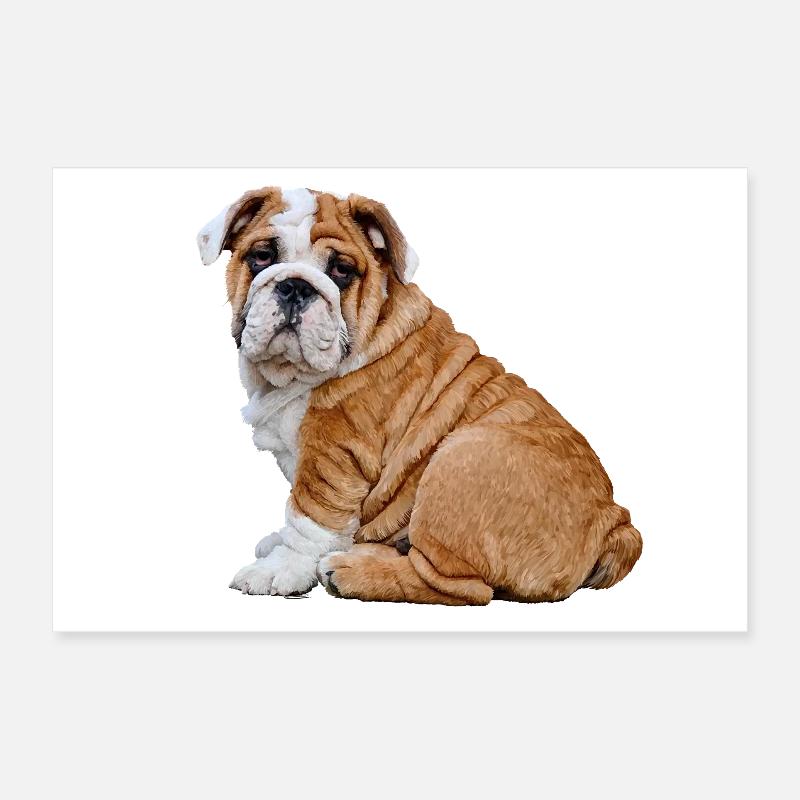 Bulldog Poster 30x20 cm