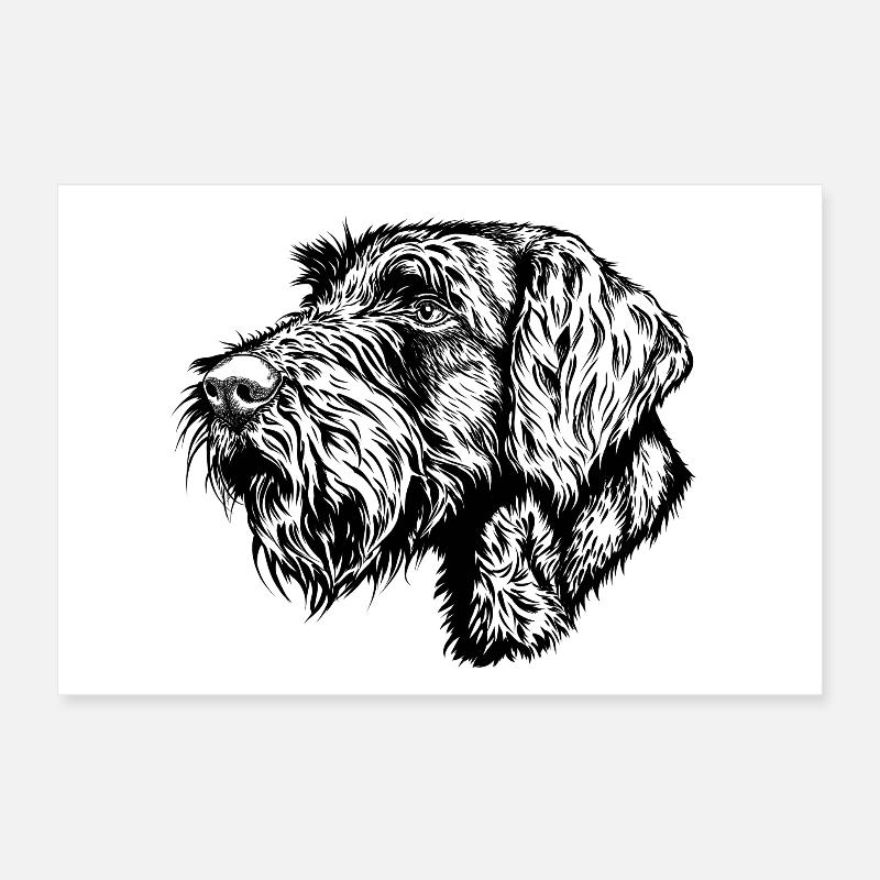 Drahthaar-Portrait Poster 30x20 cm