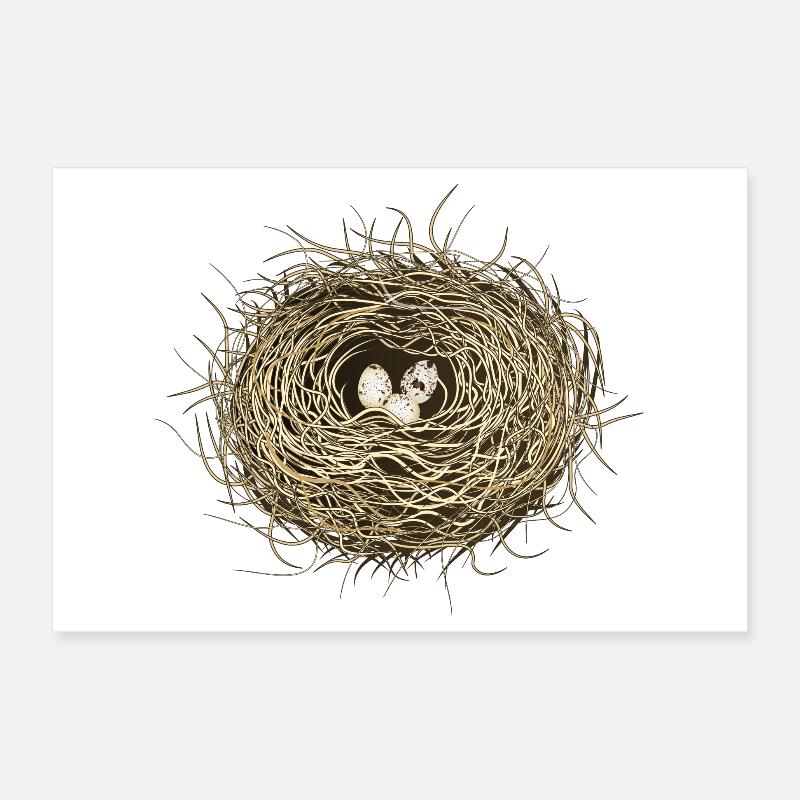 Vogelnest oder Osternest mit drei Vogel Eier Poster 30x20 cm