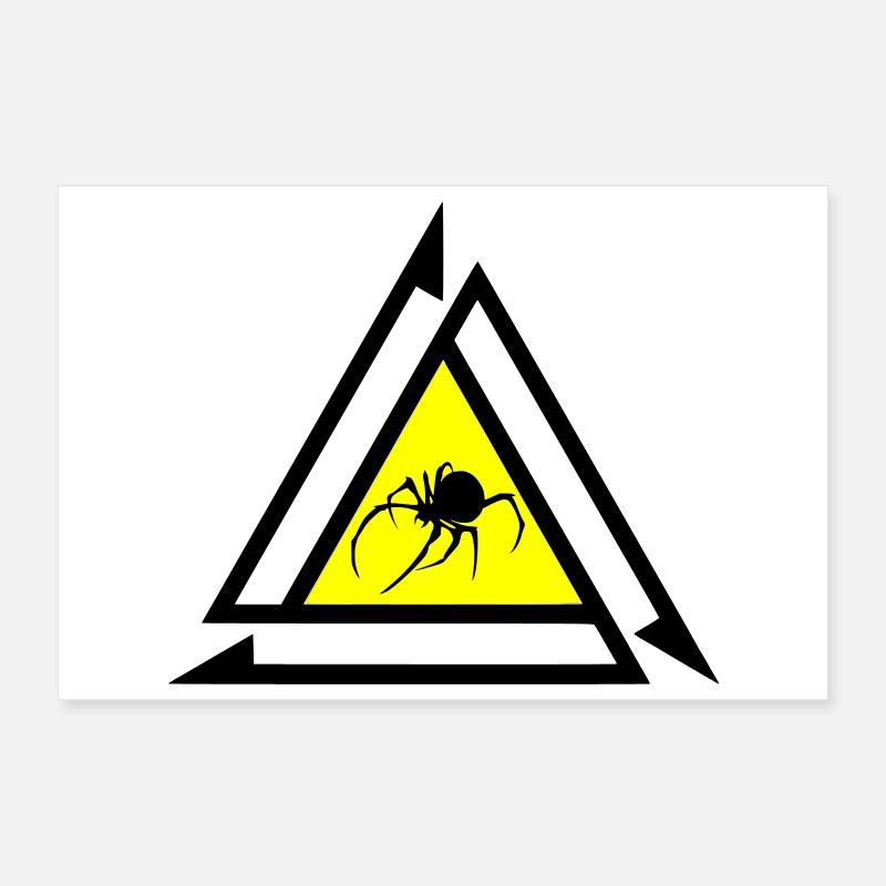 Spinne Poster 30x20 cm