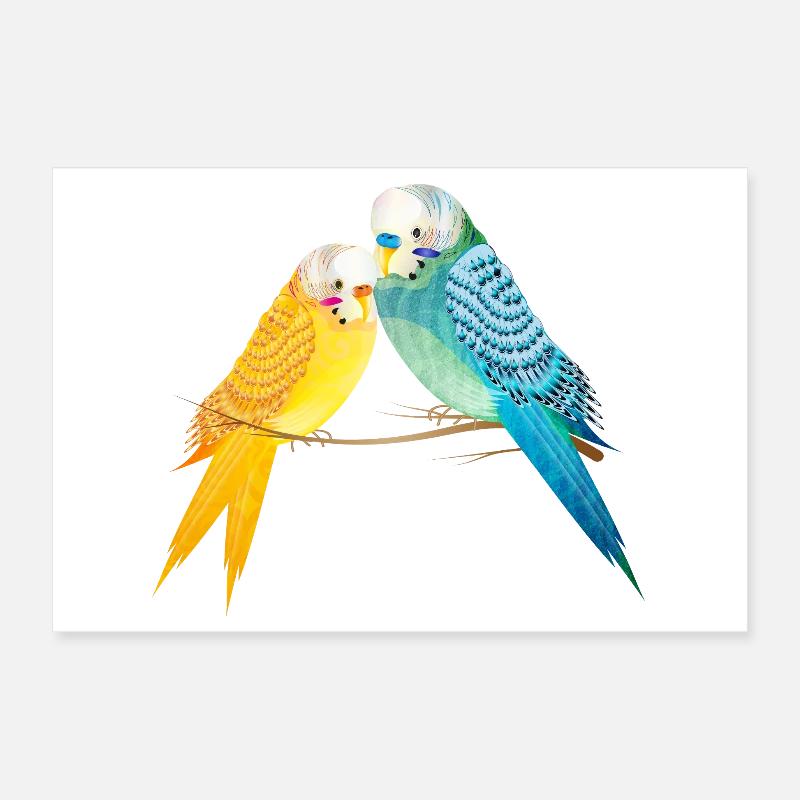 Two budgies on a branch in pastel colors Poster 12" x 8" (30x20 cm)
