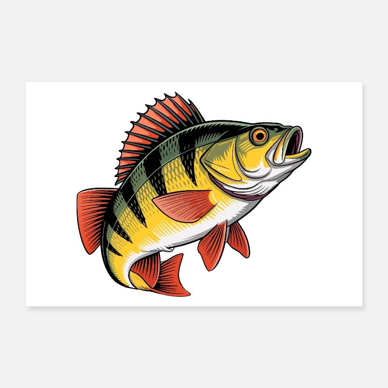 Springender Barsch Poster 30x20 cm