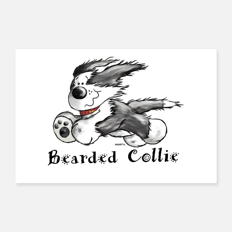 Bearded Collie Poster 30 x 20 cm