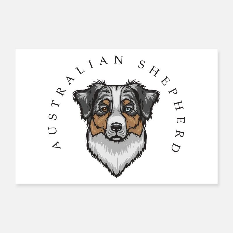 Australian Shepherd Poster 30x20 cm