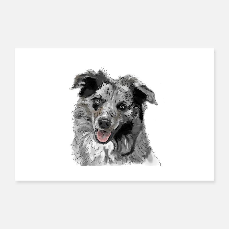 Australian Shepherd Poster 30x20 cm