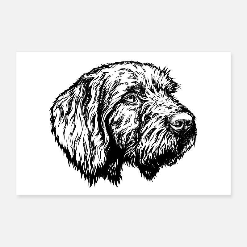 Pudelpointer Portrait Poster 12" x 8" (30x20 cm)