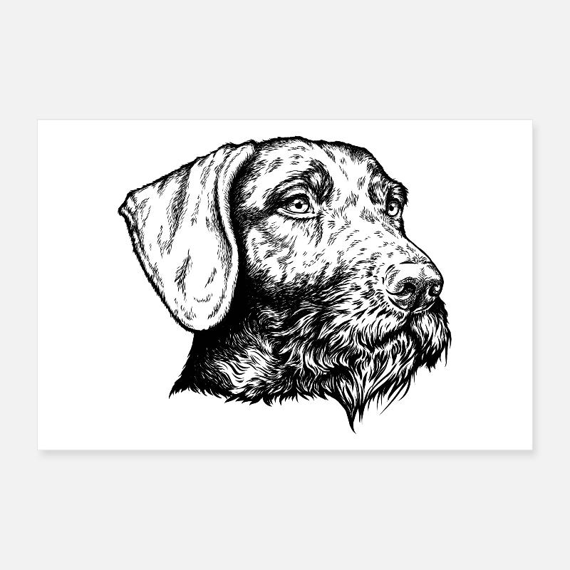 German Wirehaired Portrait Poster 12" x 8" (30x20 cm)