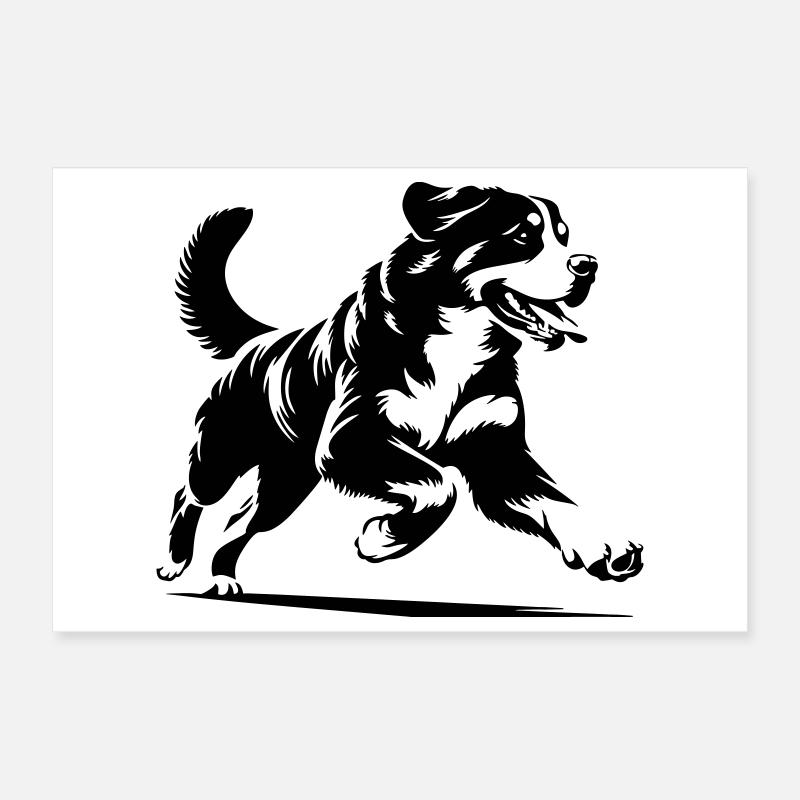 Bouvier bernois Poster 30 x 20 cm