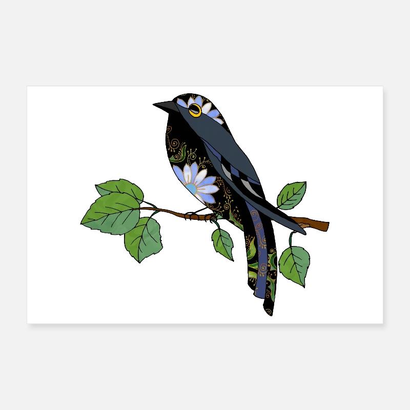 Oiseau coloré Poster 30 x 20 cm