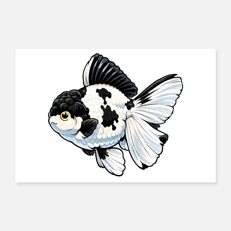 Grade Panda Oranda High Quality Goldfish Poster 30x20 cm
