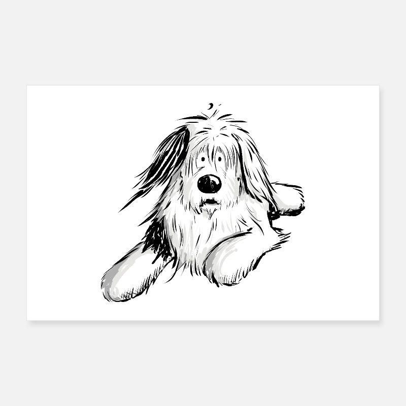 Felliger Bobtail I Beraded Collie Hund I Geschenk Poster 30x20 cm