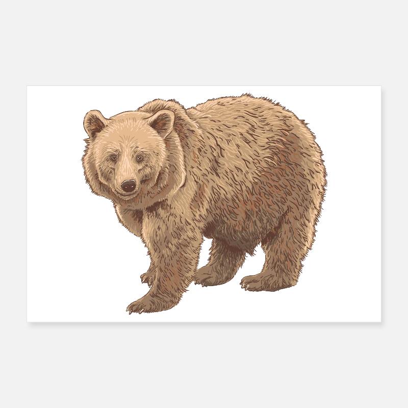 Ours de Kodiak Poster 30 x 20 cm