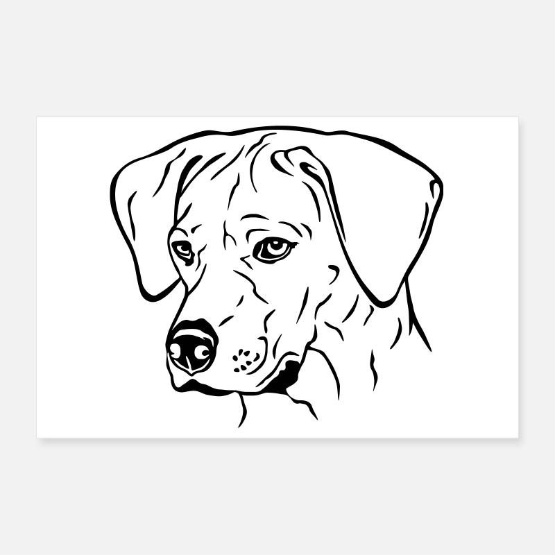 Rhodesian Ridgeback Hündin Kopf schwarz Poster 30x20 cm