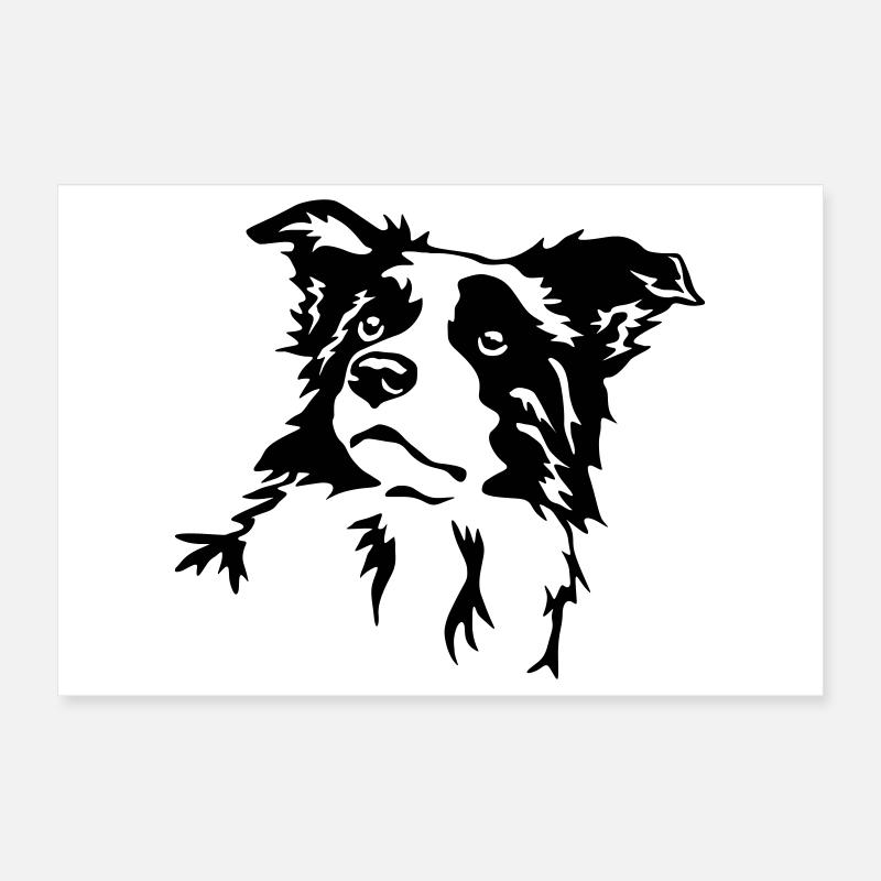 Border Collie Kopf Poster 30x20 cm