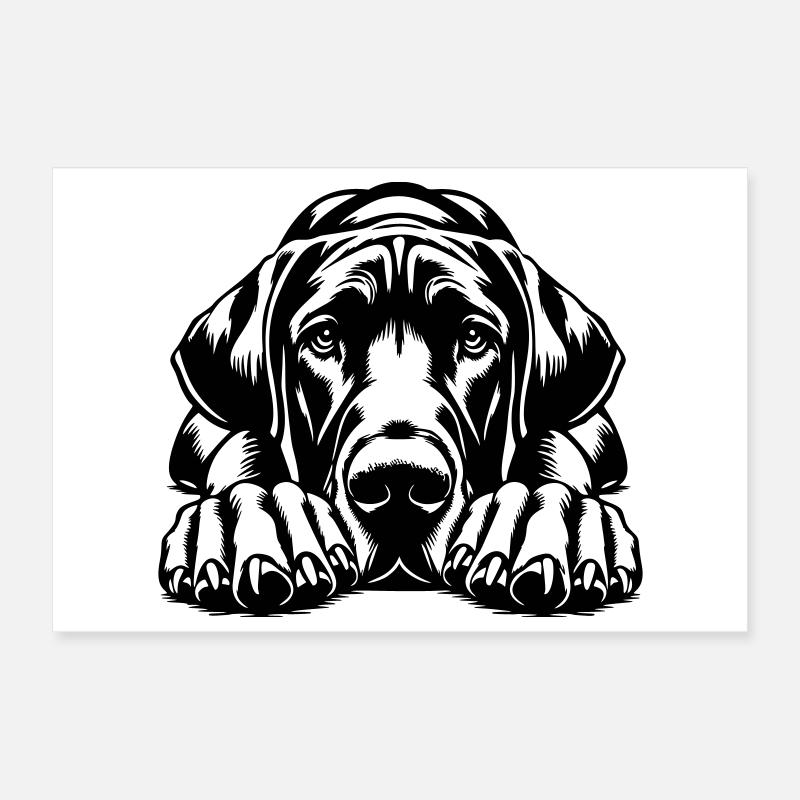 Deutsche Dogge Poster 30x20 cm