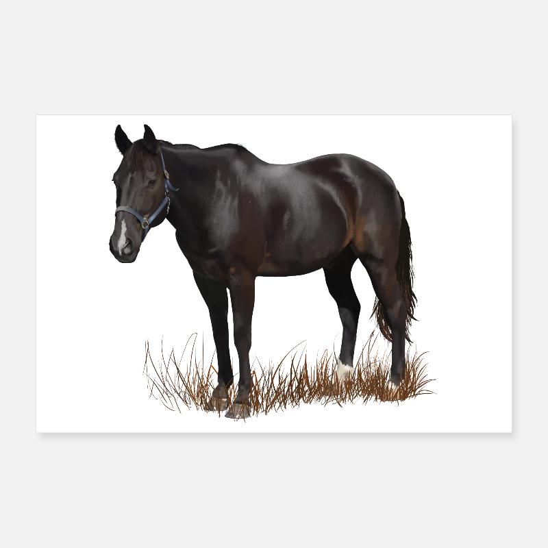 Pferd Poster 30x20 cm