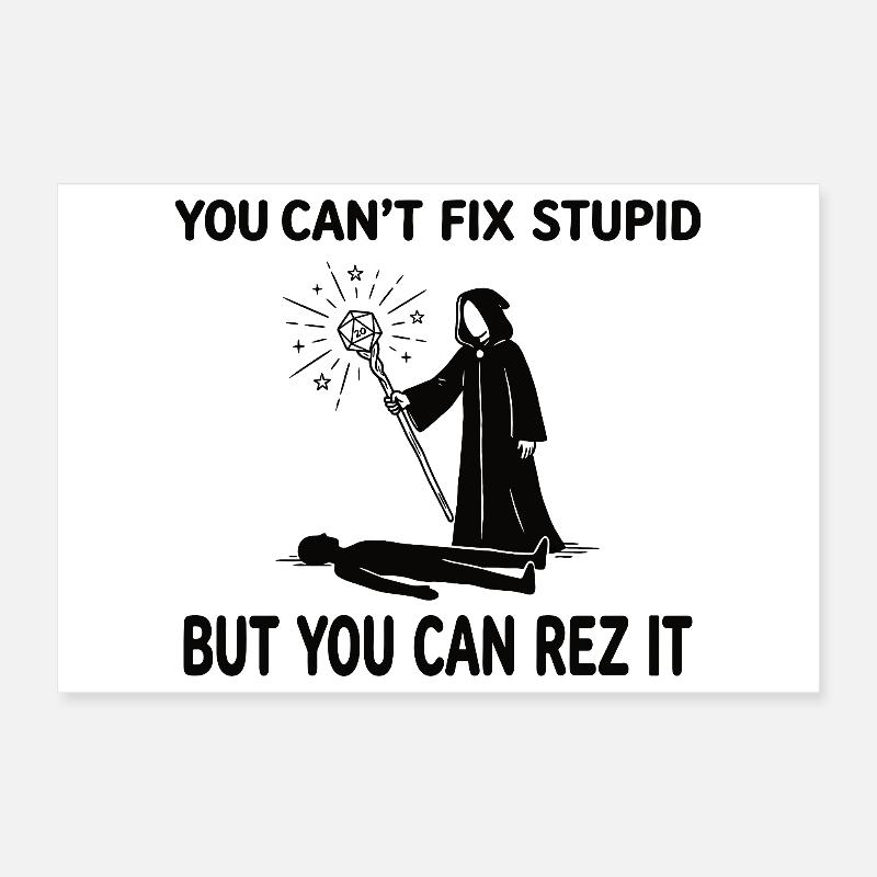 You Can't Fix Stupid – Wizard Heiler Design Poster 30x20 cm