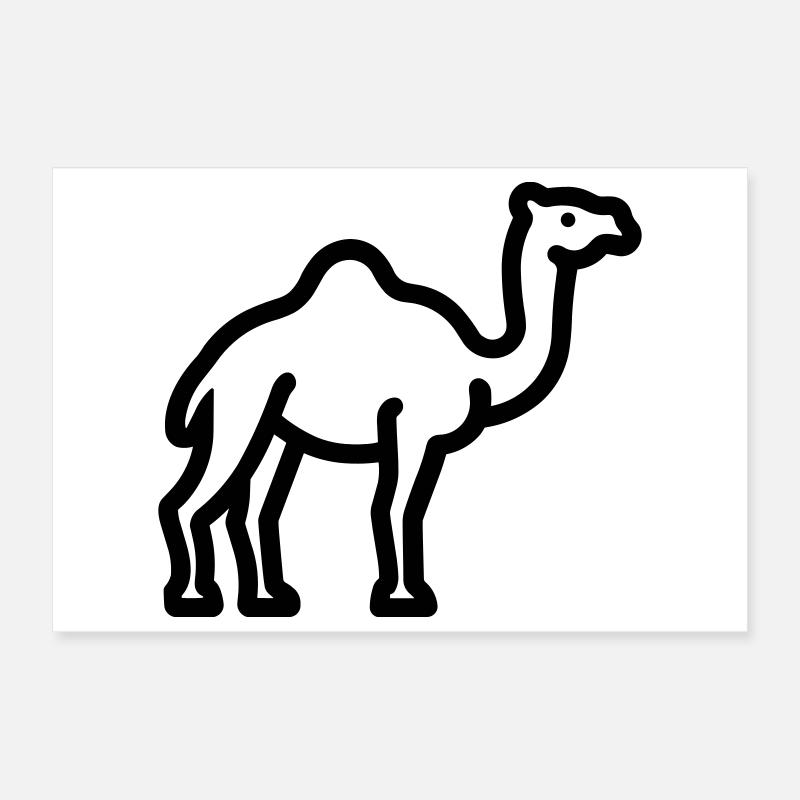 Kamel Poster 30x20 cm