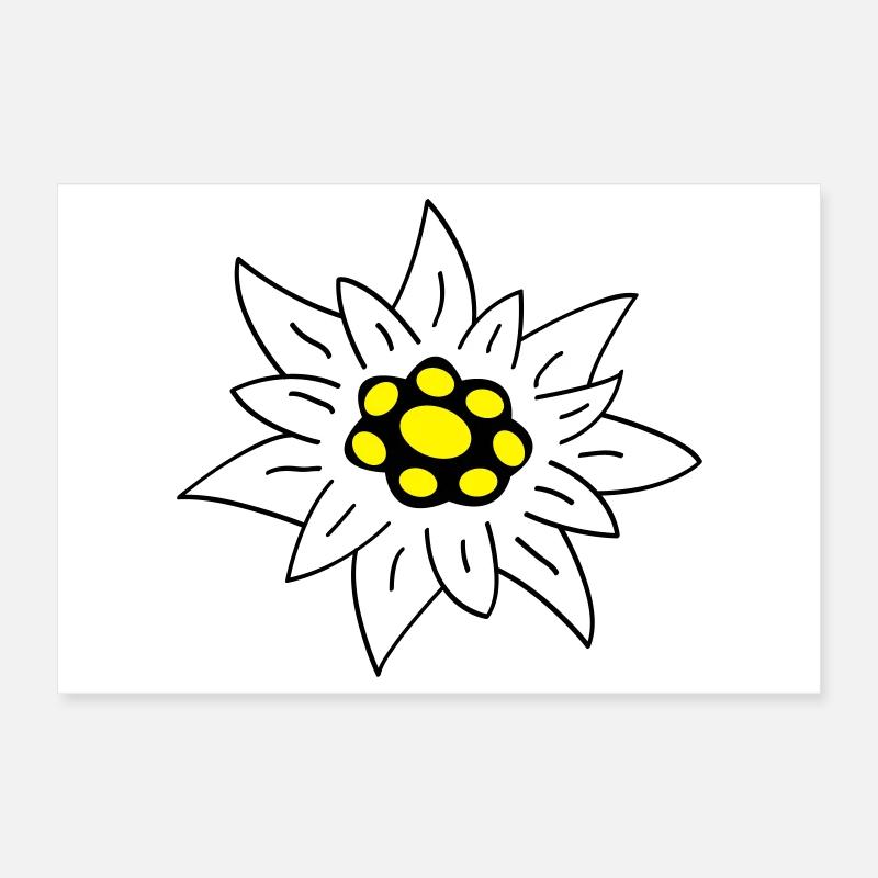 edelweiss Poster 12" x 8" (30x20 cm)