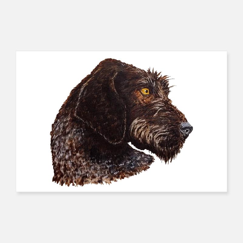 Portrait allemand de Stichelhaar Poster 30 x 20 cm