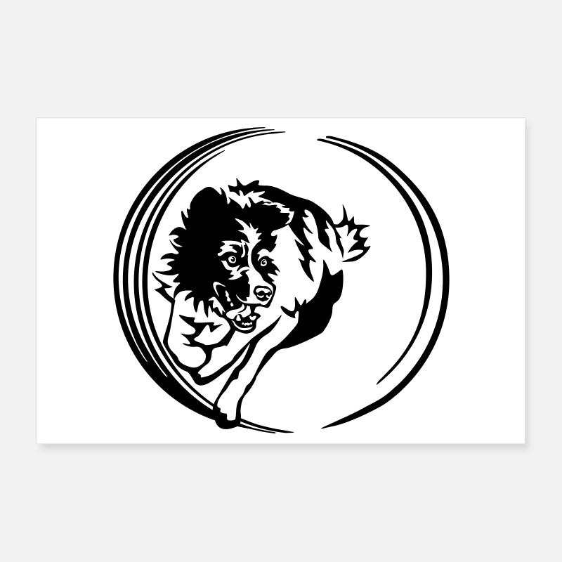Border Collie Poster 30 x 20 cm