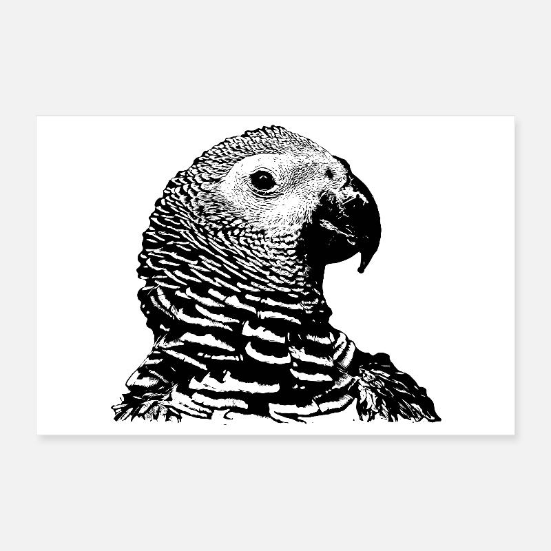Perroquet Poster 30 x 20 cm