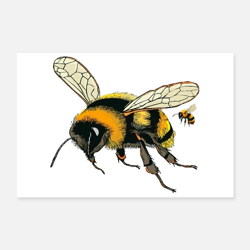 Bourdons Poster 30 x 20 cm