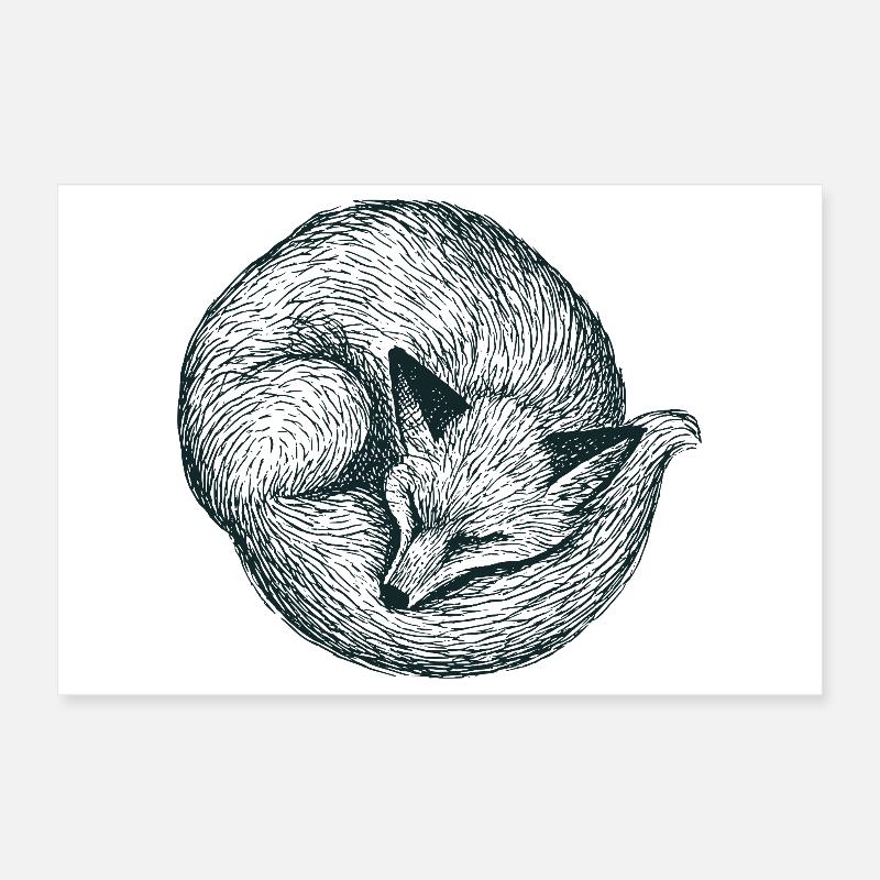 Curled up fox Poster 12" x 8" (30x20 cm)