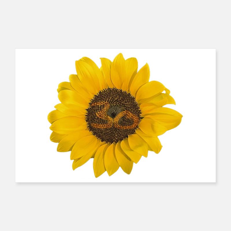 Date de naissance 30 ans Poster 30 x 20 cm