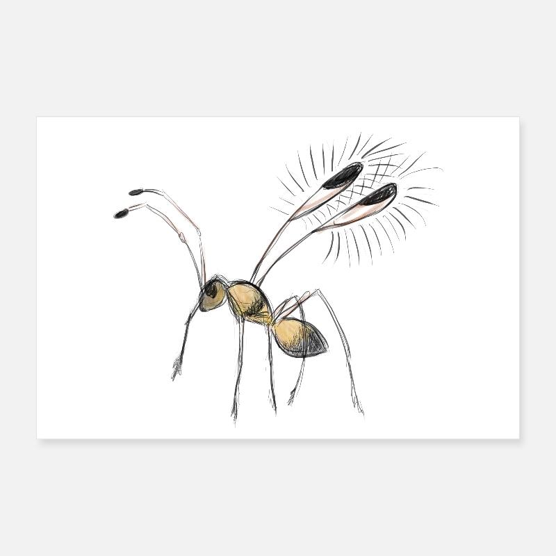 Tiny Fairyfly drawing Poster 12" x 8" (30x20 cm)