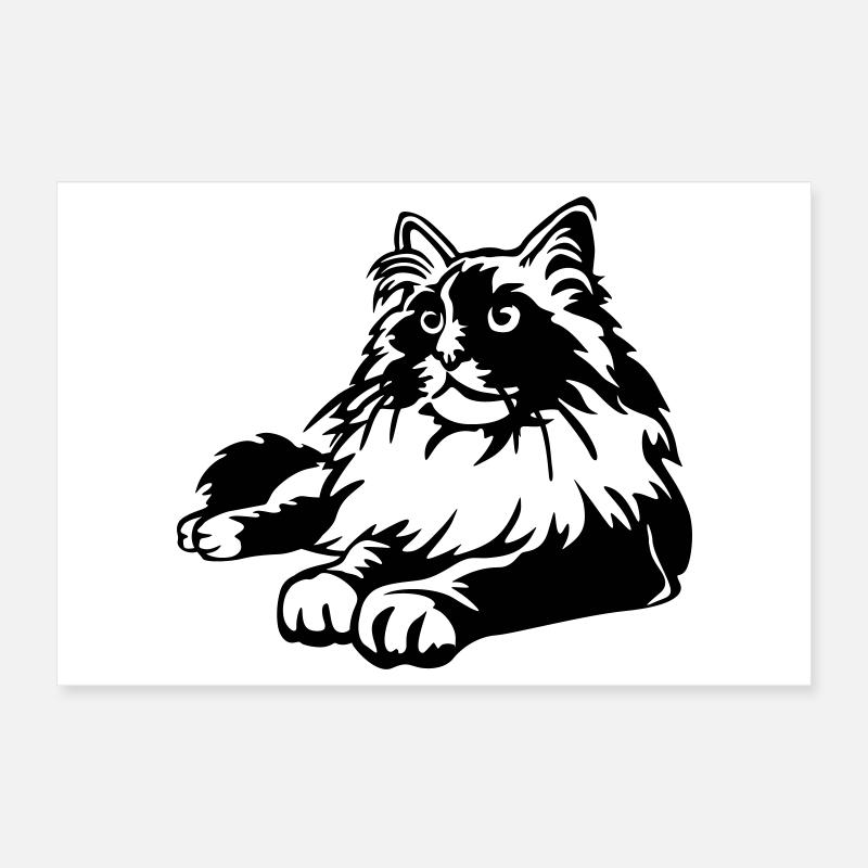 Ragdoll Katze Poster 30x20 cm