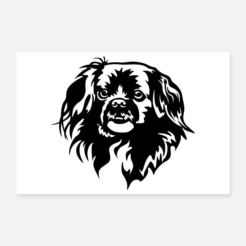 Tibet Spaniel Kopf Poster 30x20 cm