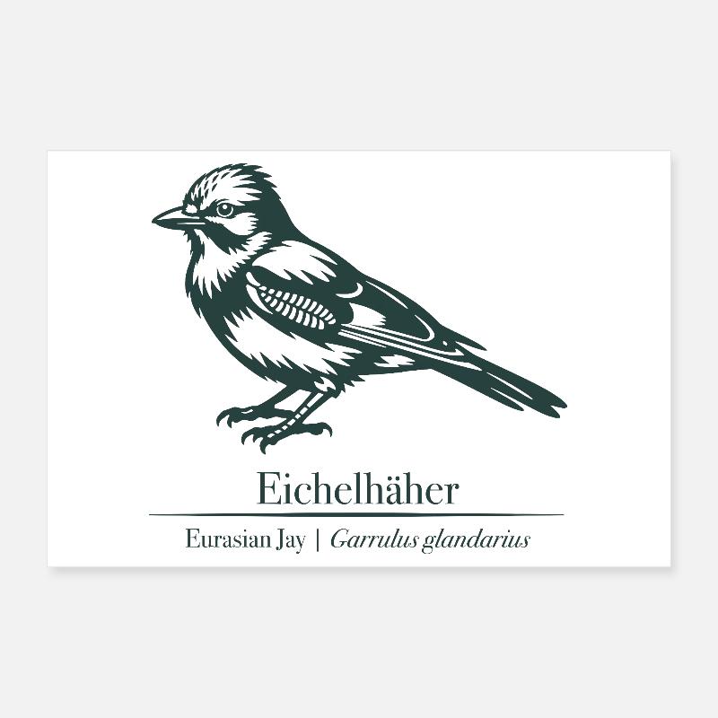 Jay Silhouette | Ornithology | Drawing Poster 12" x 8" (30x20 cm)