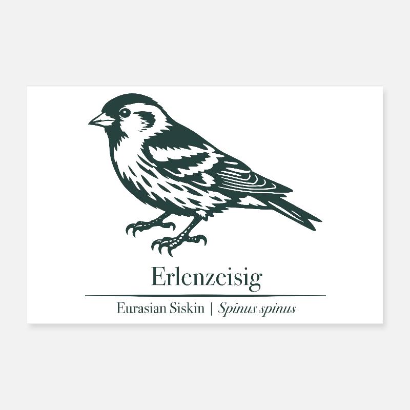 Siskin Silhouette | Ornithology | Drawing Poster 12" x 8" (30x20 cm)
