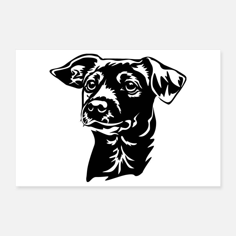Jack Russell Terrier Kopf Poster 30x20 cm