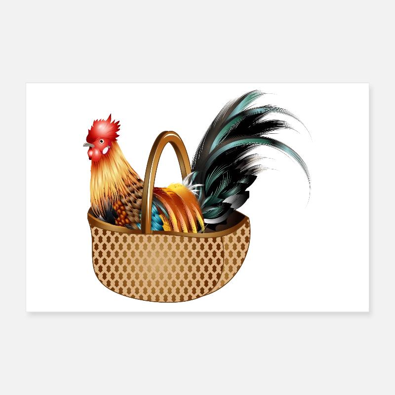 Ein prächtiger bunter Hahn sitz in einem Korb Poster 30x20 cm
