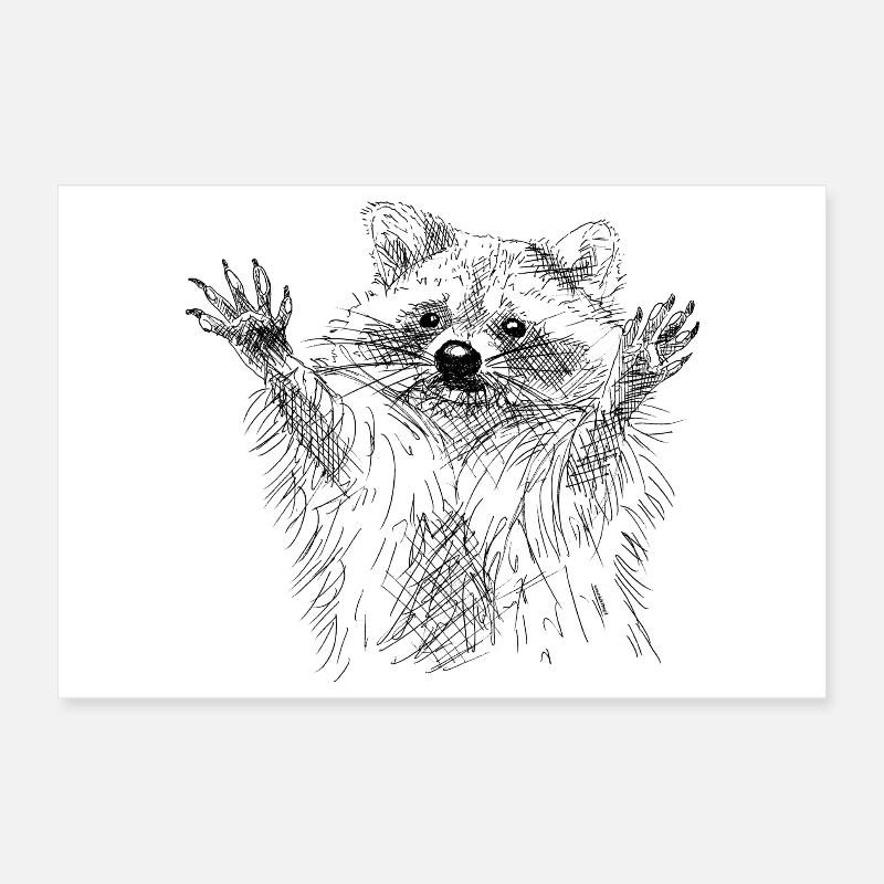 Waschbär Poster 30x20 cm