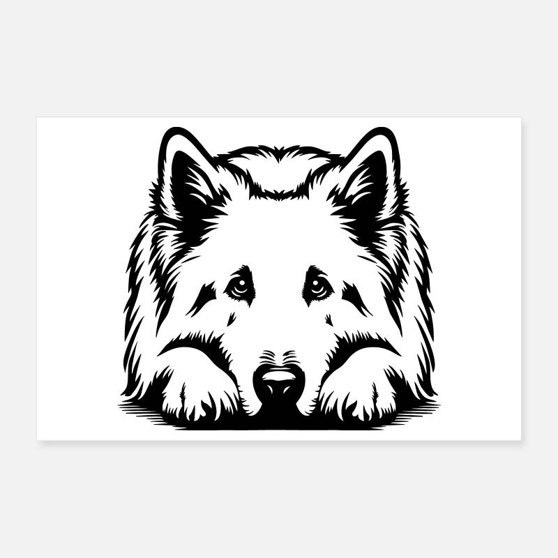 Schweizer Schäferhund Poster 30x20 cm