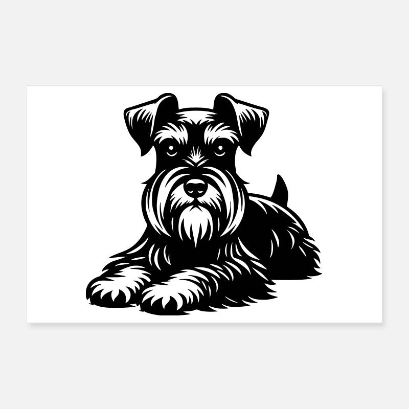 Schnauzer nain Poster 30 x 20 cm