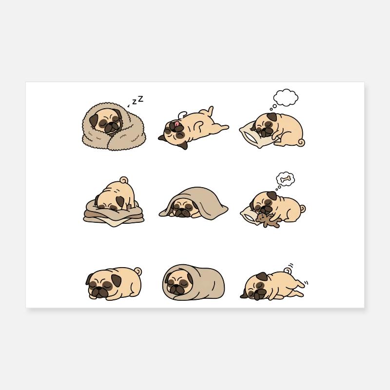 Neuf poses mignonnes de carlin endormi Poster 30 x 20 cm