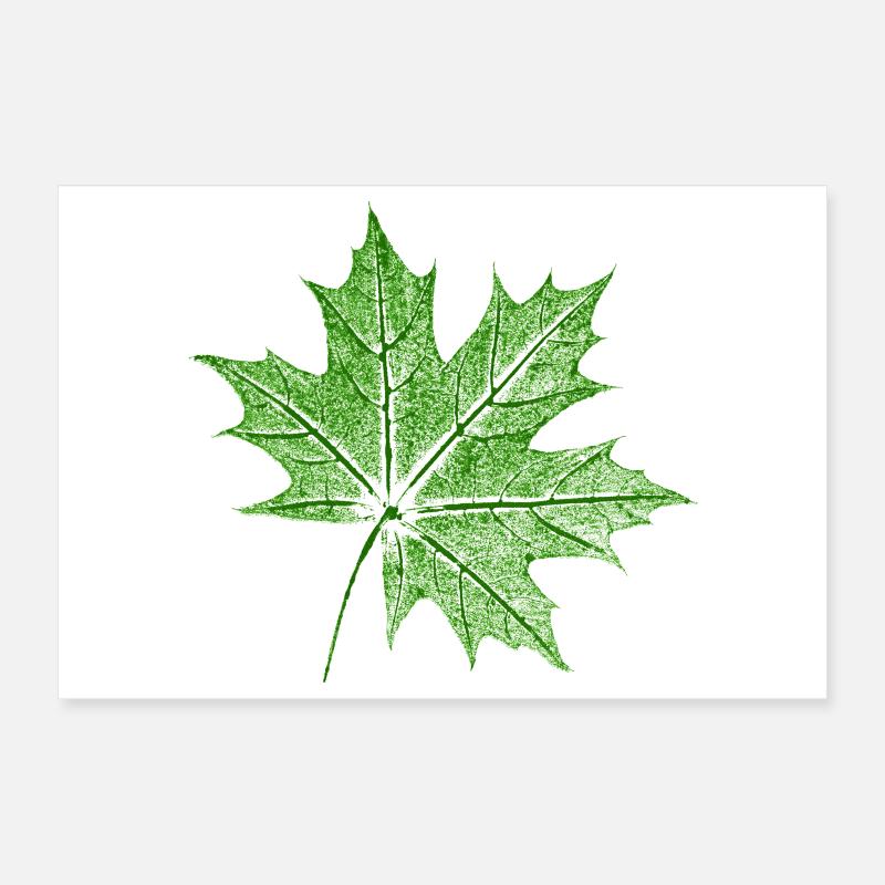 Érable feuillu / Feuille d’érable Poster 30 x 20 cm