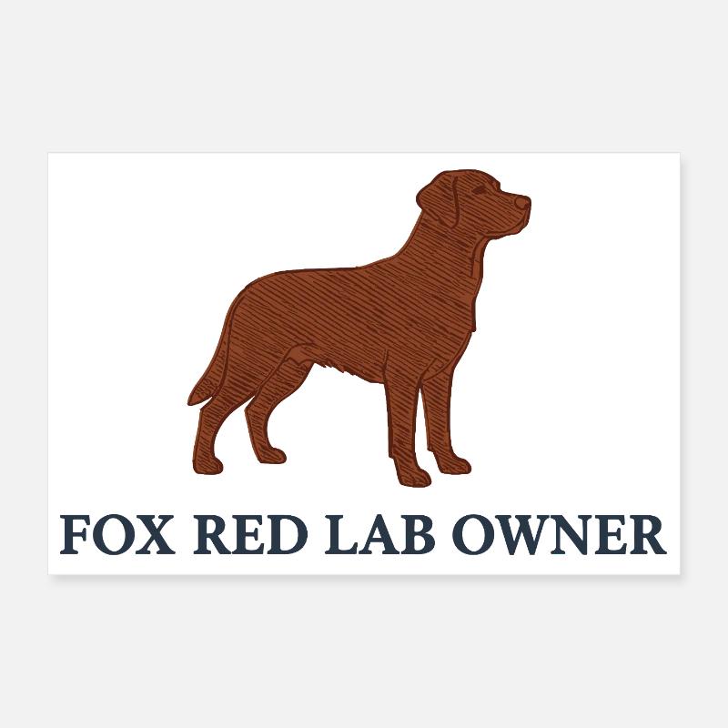 Fox red Labrador Logo Poster 30x20 cm