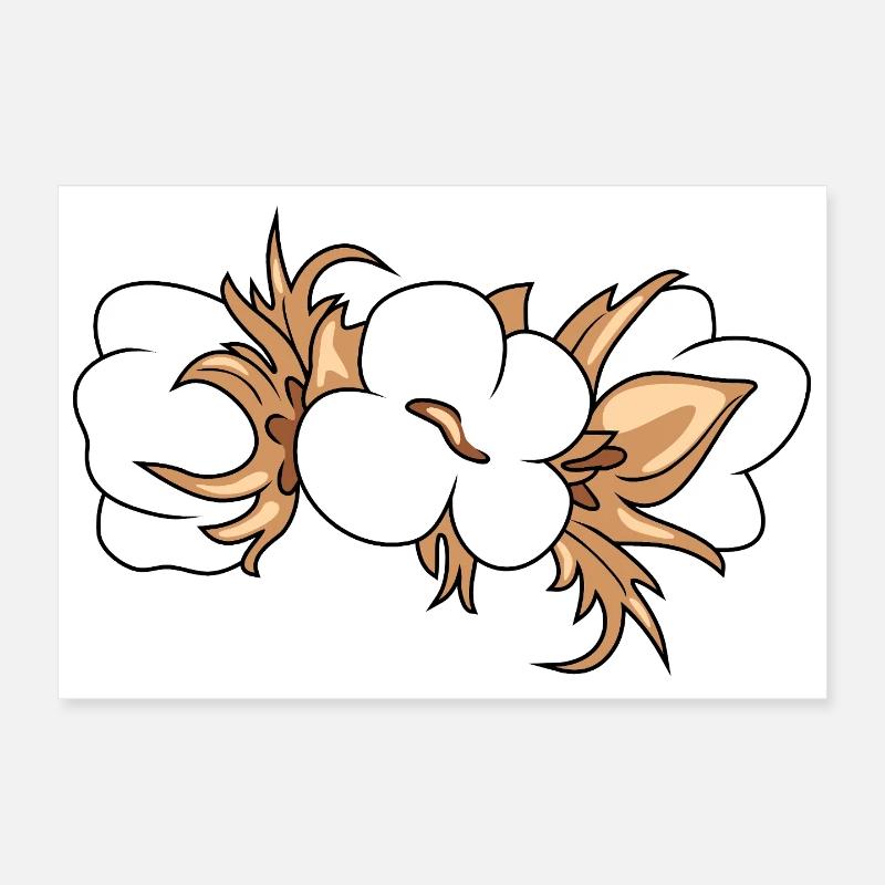 Coton en floraison Poster 30 x 20 cm
